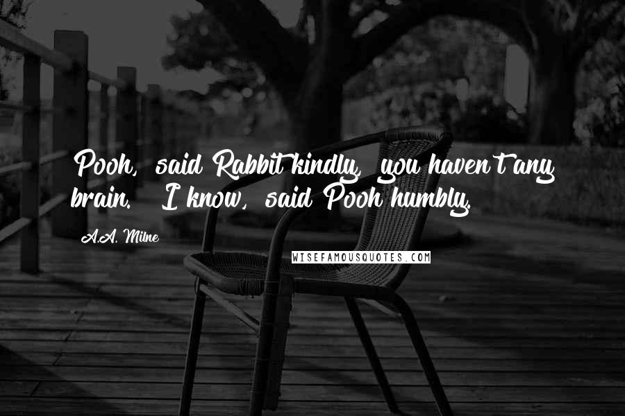 A.A. Milne Quotes: Pooh," said Rabbit kindly, "you haven't any brain." "I know," said Pooh humbly.