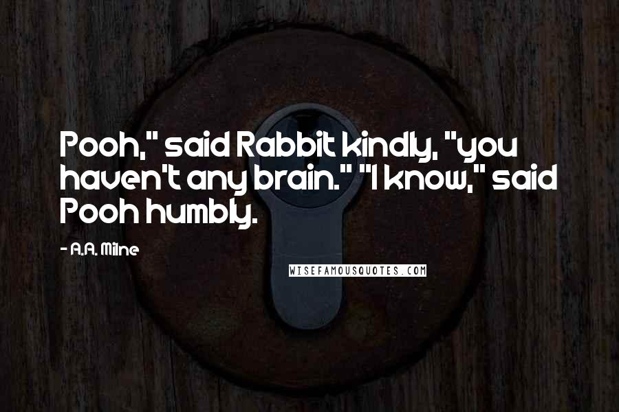 A.A. Milne Quotes: Pooh," said Rabbit kindly, "you haven't any brain." "I know," said Pooh humbly.