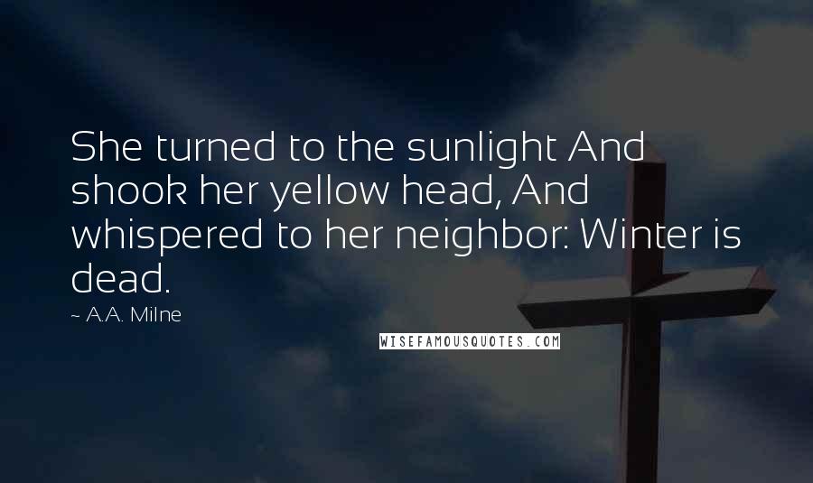 A.A. Milne Quotes: She turned to the sunlight And shook her yellow head, And whispered to her neighbor: Winter is dead.