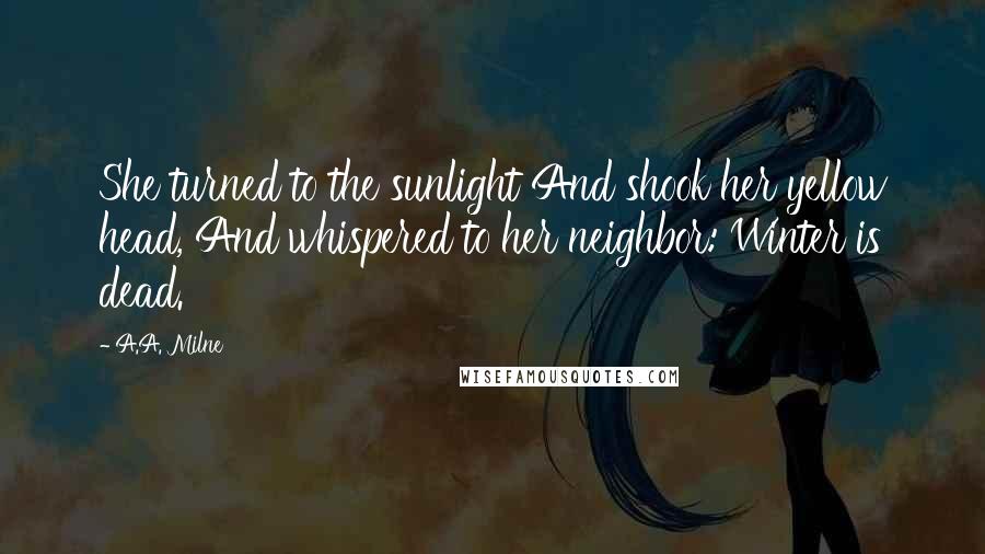 A.A. Milne Quotes: She turned to the sunlight And shook her yellow head, And whispered to her neighbor: Winter is dead.