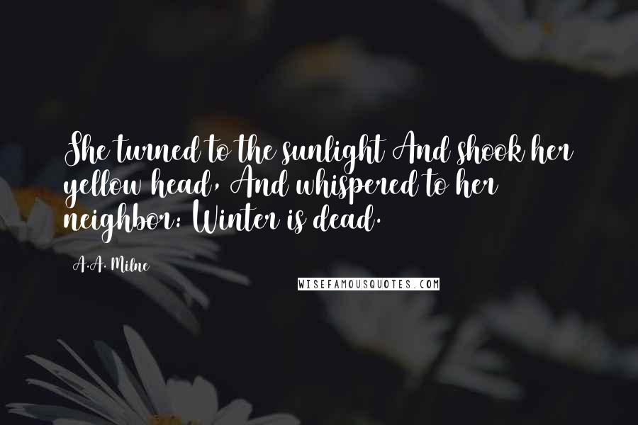A.A. Milne Quotes: She turned to the sunlight And shook her yellow head, And whispered to her neighbor: Winter is dead.