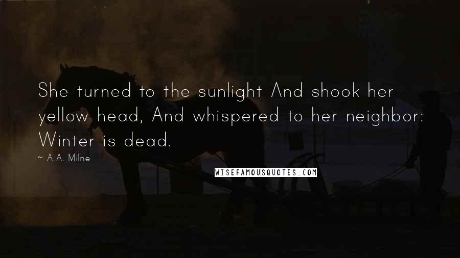 A.A. Milne Quotes: She turned to the sunlight And shook her yellow head, And whispered to her neighbor: Winter is dead.