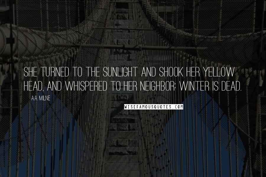 A.A. Milne Quotes: She turned to the sunlight And shook her yellow head, And whispered to her neighbor: Winter is dead.