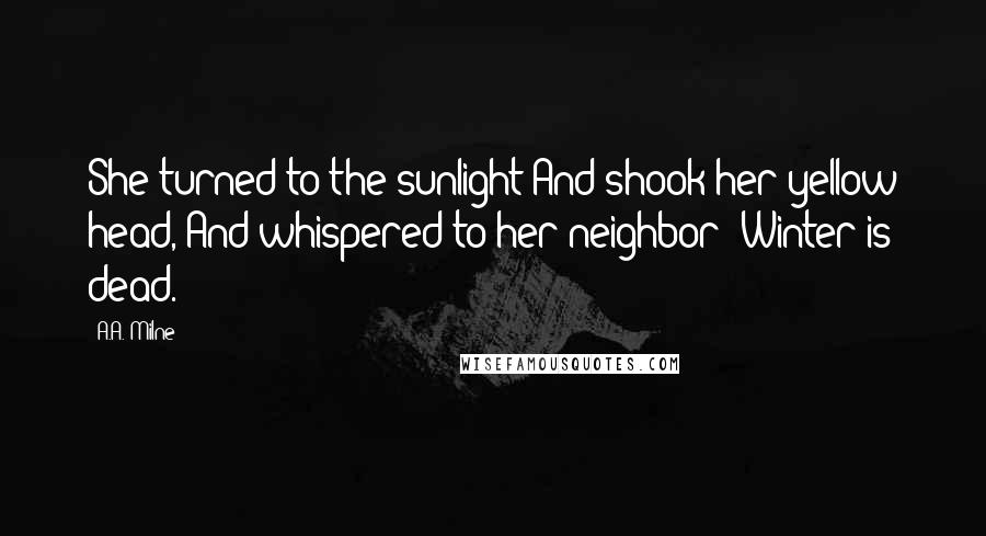 A.A. Milne Quotes: She turned to the sunlight And shook her yellow head, And whispered to her neighbor: Winter is dead.