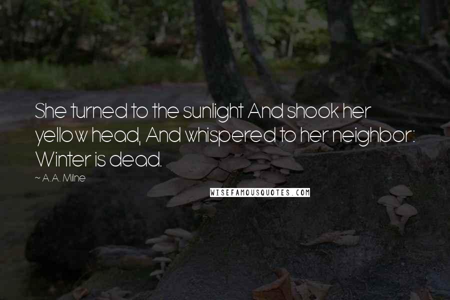 A.A. Milne Quotes: She turned to the sunlight And shook her yellow head, And whispered to her neighbor: Winter is dead.