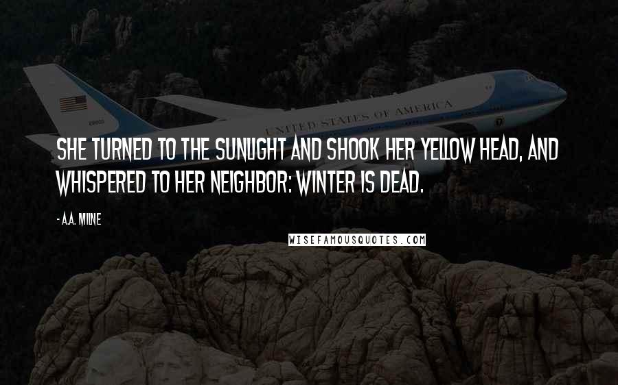 A.A. Milne Quotes: She turned to the sunlight And shook her yellow head, And whispered to her neighbor: Winter is dead.