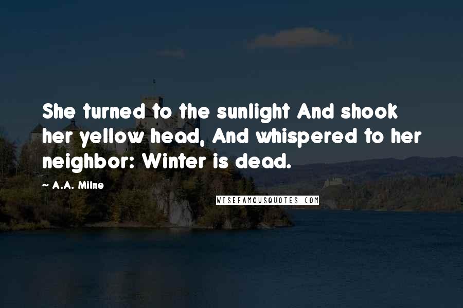 A.A. Milne Quotes: She turned to the sunlight And shook her yellow head, And whispered to her neighbor: Winter is dead.