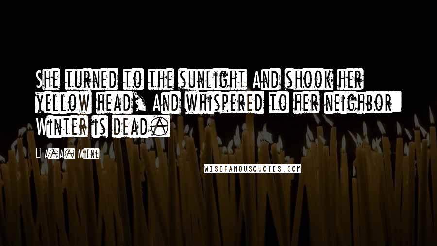 A.A. Milne Quotes: She turned to the sunlight And shook her yellow head, And whispered to her neighbor: Winter is dead.