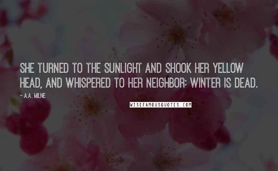A.A. Milne Quotes: She turned to the sunlight And shook her yellow head, And whispered to her neighbor: Winter is dead.