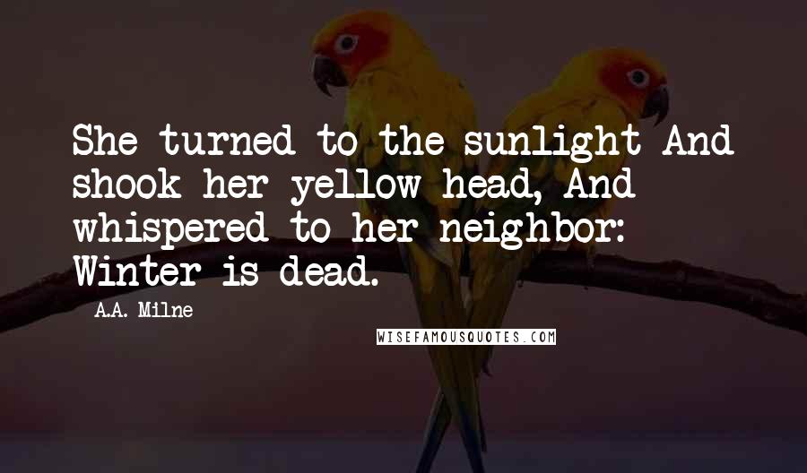 A.A. Milne Quotes: She turned to the sunlight And shook her yellow head, And whispered to her neighbor: Winter is dead.