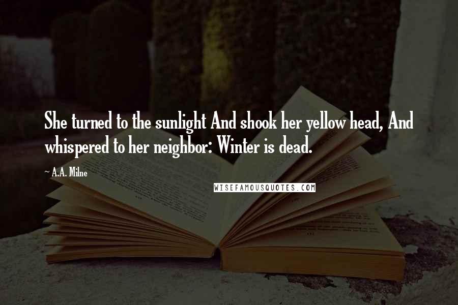 A.A. Milne Quotes: She turned to the sunlight And shook her yellow head, And whispered to her neighbor: Winter is dead.