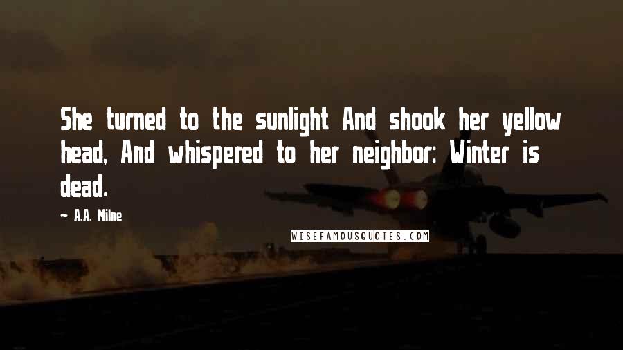 A.A. Milne Quotes: She turned to the sunlight And shook her yellow head, And whispered to her neighbor: Winter is dead.