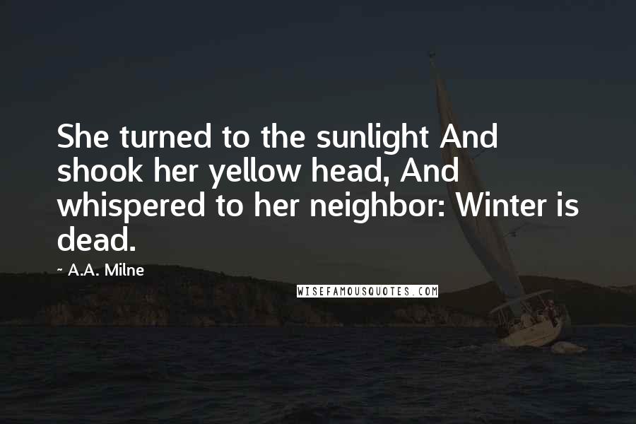 A.A. Milne Quotes: She turned to the sunlight And shook her yellow head, And whispered to her neighbor: Winter is dead.