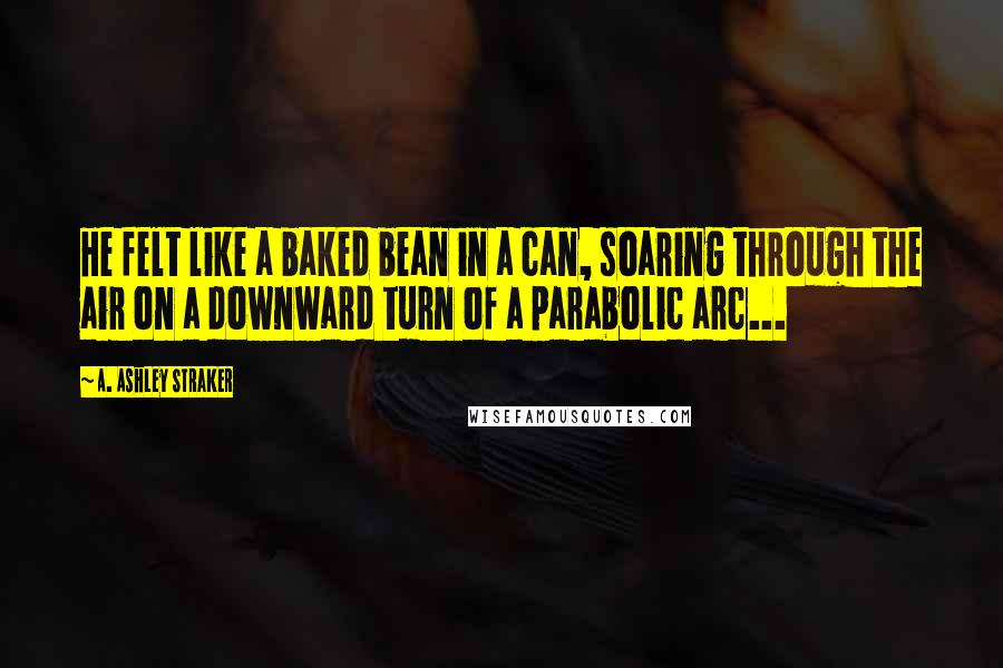 A. Ashley Straker Quotes: He felt like a baked bean in a can, soaring through the air on a downward turn of a parabolic arc...