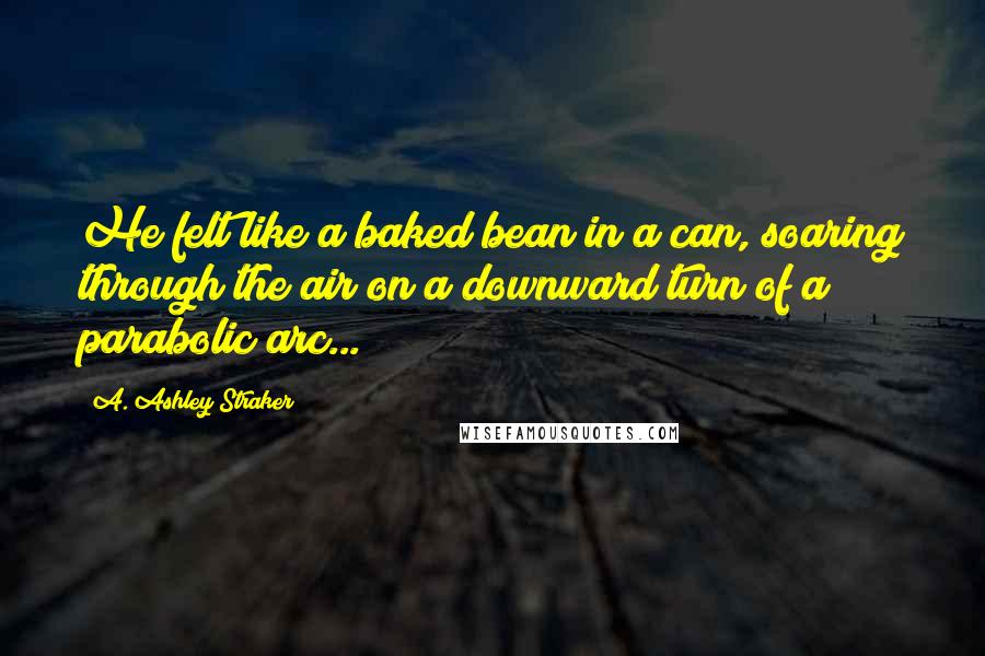 A. Ashley Straker Quotes: He felt like a baked bean in a can, soaring through the air on a downward turn of a parabolic arc...