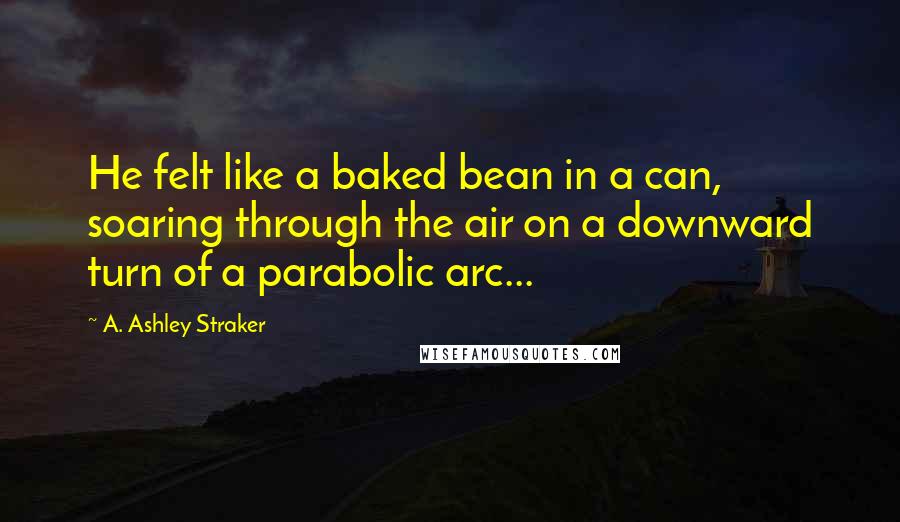 A. Ashley Straker Quotes: He felt like a baked bean in a can, soaring through the air on a downward turn of a parabolic arc...