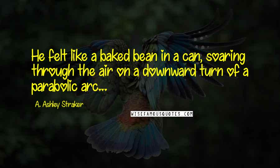 A. Ashley Straker Quotes: He felt like a baked bean in a can, soaring through the air on a downward turn of a parabolic arc...