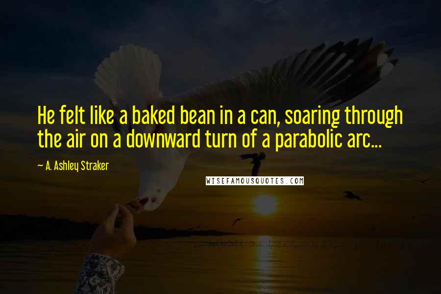 A. Ashley Straker Quotes: He felt like a baked bean in a can, soaring through the air on a downward turn of a parabolic arc...