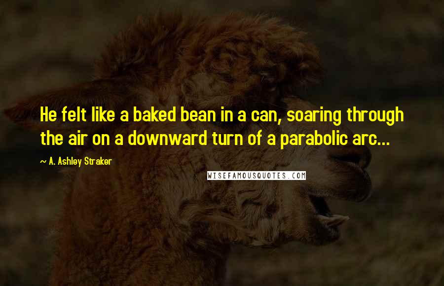 A. Ashley Straker Quotes: He felt like a baked bean in a can, soaring through the air on a downward turn of a parabolic arc...