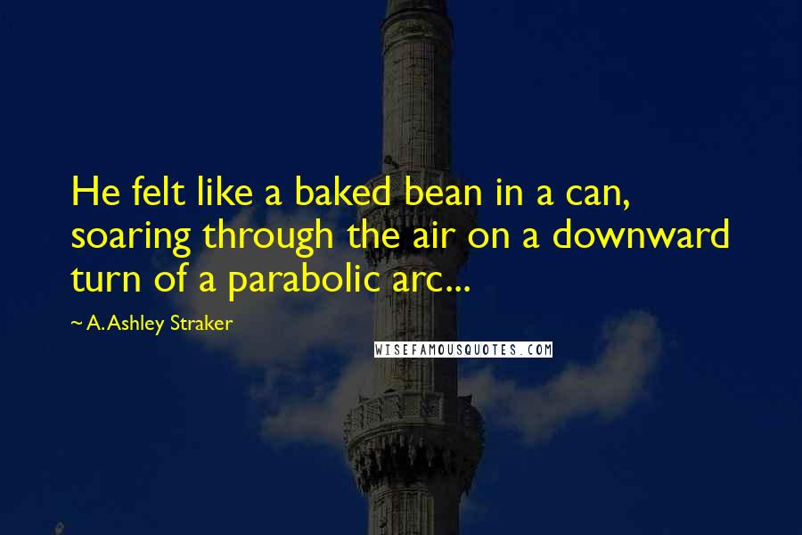 A. Ashley Straker Quotes: He felt like a baked bean in a can, soaring through the air on a downward turn of a parabolic arc...