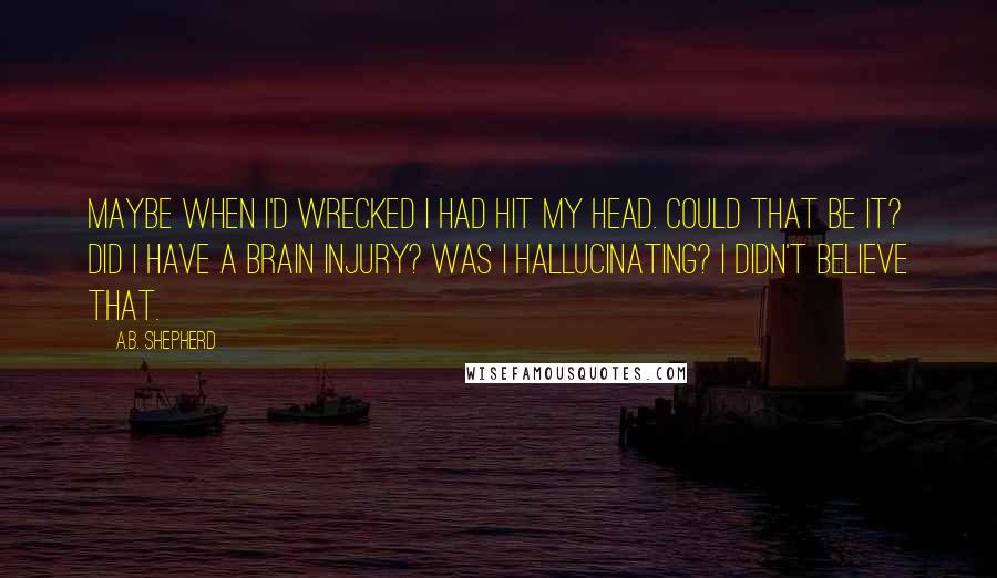 A.B. Shepherd Quotes: Maybe when I'd wrecked I had hit my head. Could that be it? Did I have a brain injury? Was I hallucinating? I didn't believe that.