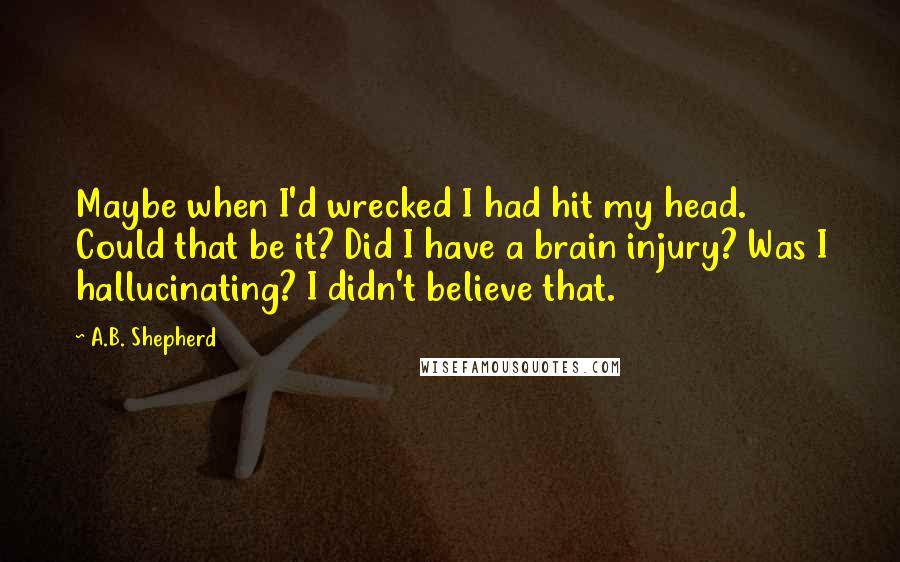 A.B. Shepherd Quotes: Maybe when I'd wrecked I had hit my head. Could that be it? Did I have a brain injury? Was I hallucinating? I didn't believe that.