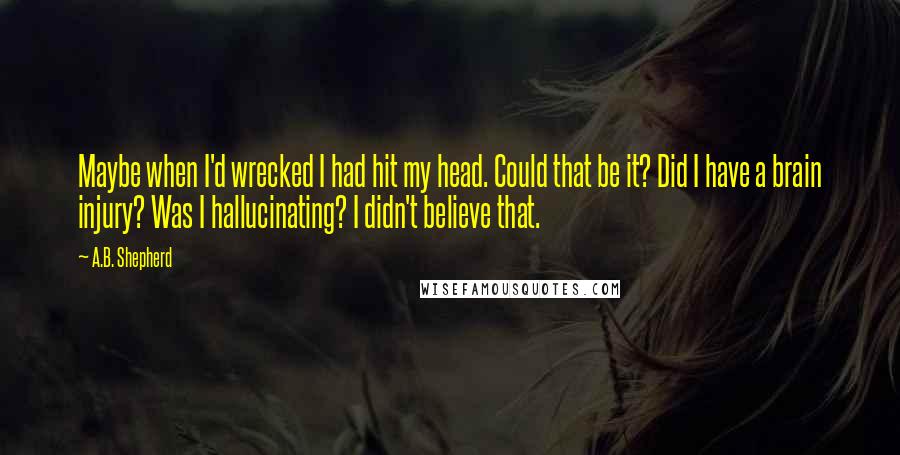 A.B. Shepherd Quotes: Maybe when I'd wrecked I had hit my head. Could that be it? Did I have a brain injury? Was I hallucinating? I didn't believe that.