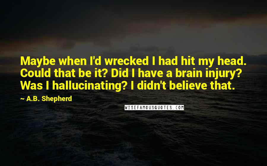 A.B. Shepherd Quotes: Maybe when I'd wrecked I had hit my head. Could that be it? Did I have a brain injury? Was I hallucinating? I didn't believe that.