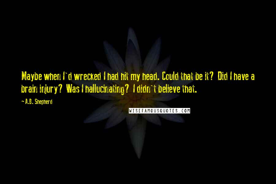 A.B. Shepherd Quotes: Maybe when I'd wrecked I had hit my head. Could that be it? Did I have a brain injury? Was I hallucinating? I didn't believe that.