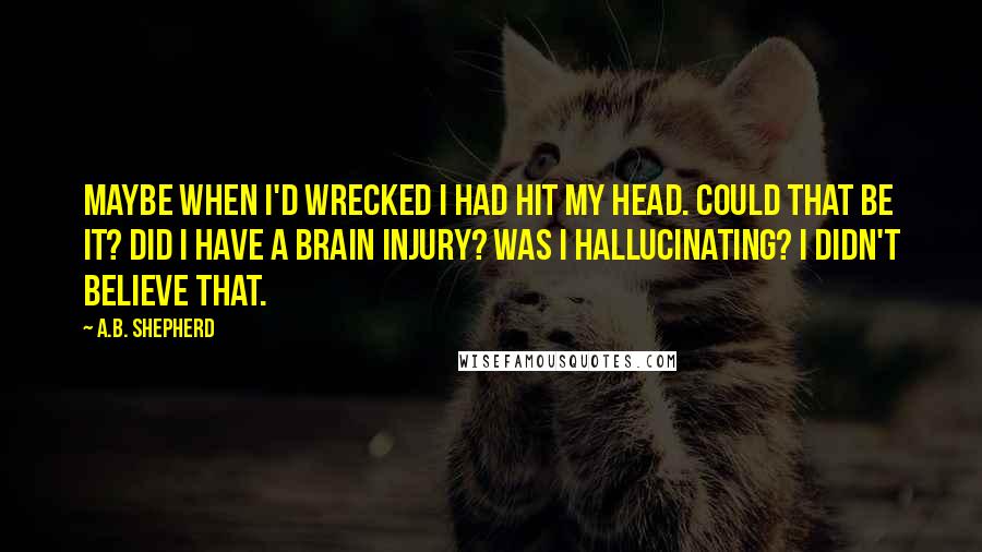 A.B. Shepherd Quotes: Maybe when I'd wrecked I had hit my head. Could that be it? Did I have a brain injury? Was I hallucinating? I didn't believe that.