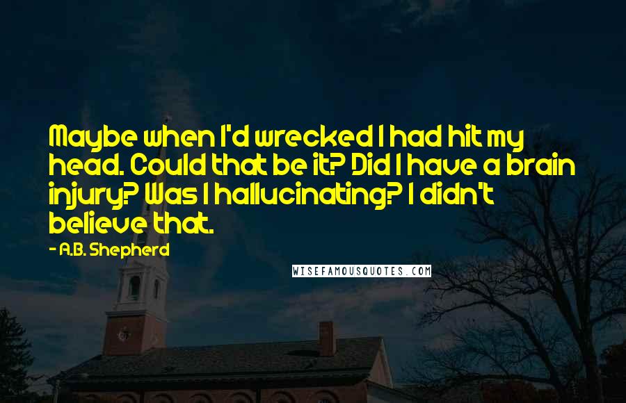 A.B. Shepherd Quotes: Maybe when I'd wrecked I had hit my head. Could that be it? Did I have a brain injury? Was I hallucinating? I didn't believe that.