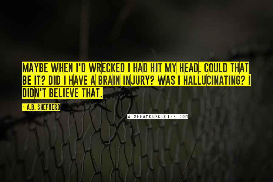 A.B. Shepherd Quotes: Maybe when I'd wrecked I had hit my head. Could that be it? Did I have a brain injury? Was I hallucinating? I didn't believe that.