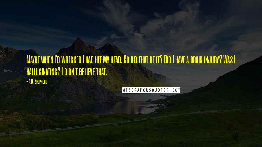 A.B. Shepherd Quotes: Maybe when I'd wrecked I had hit my head. Could that be it? Did I have a brain injury? Was I hallucinating? I didn't believe that.