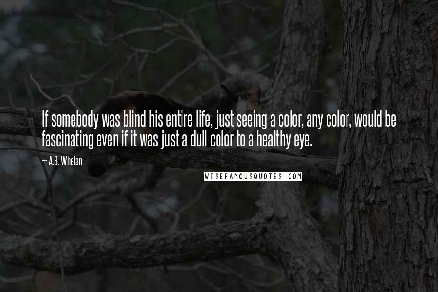 A.B. Whelan Quotes: If somebody was blind his entire life, just seeing a color, any color, would be fascinating even if it was just a dull color to a healthy eye.
