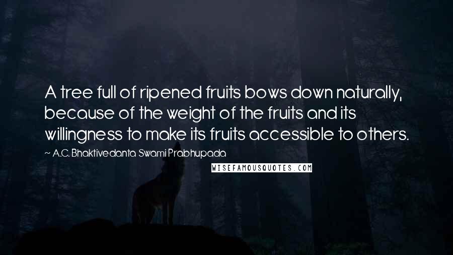 A.C. Bhaktivedanta Swami Prabhupada Quotes: A tree full of ripened fruits bows down naturally, because of the weight of the fruits and its willingness to make its fruits accessible to others.