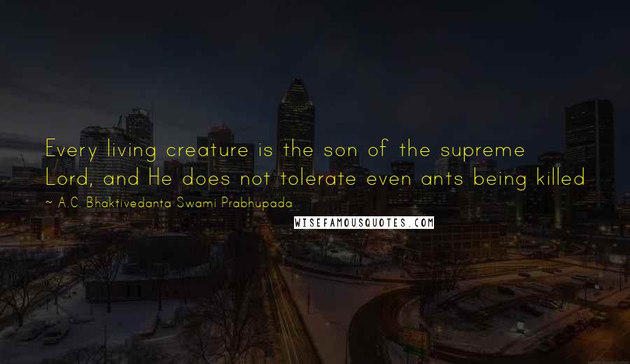 A.C. Bhaktivedanta Swami Prabhupada Quotes: Every living creature is the son of the supreme Lord, and He does not tolerate even ants being killed