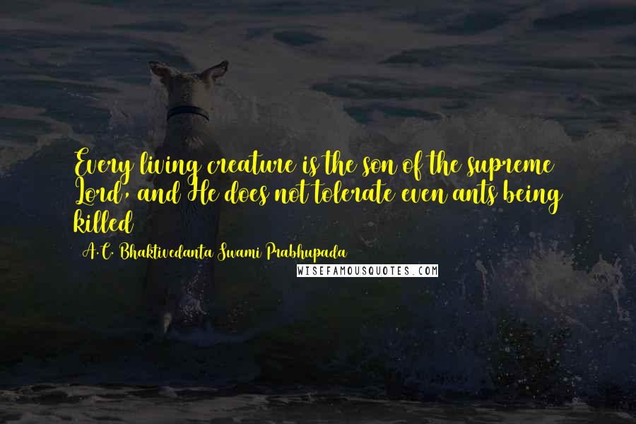 A.C. Bhaktivedanta Swami Prabhupada Quotes: Every living creature is the son of the supreme Lord, and He does not tolerate even ants being killed