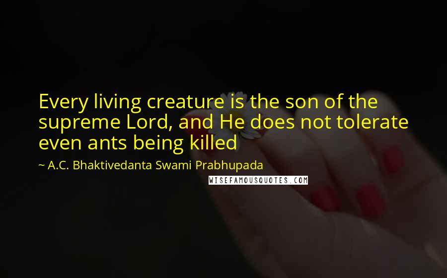A.C. Bhaktivedanta Swami Prabhupada Quotes: Every living creature is the son of the supreme Lord, and He does not tolerate even ants being killed
