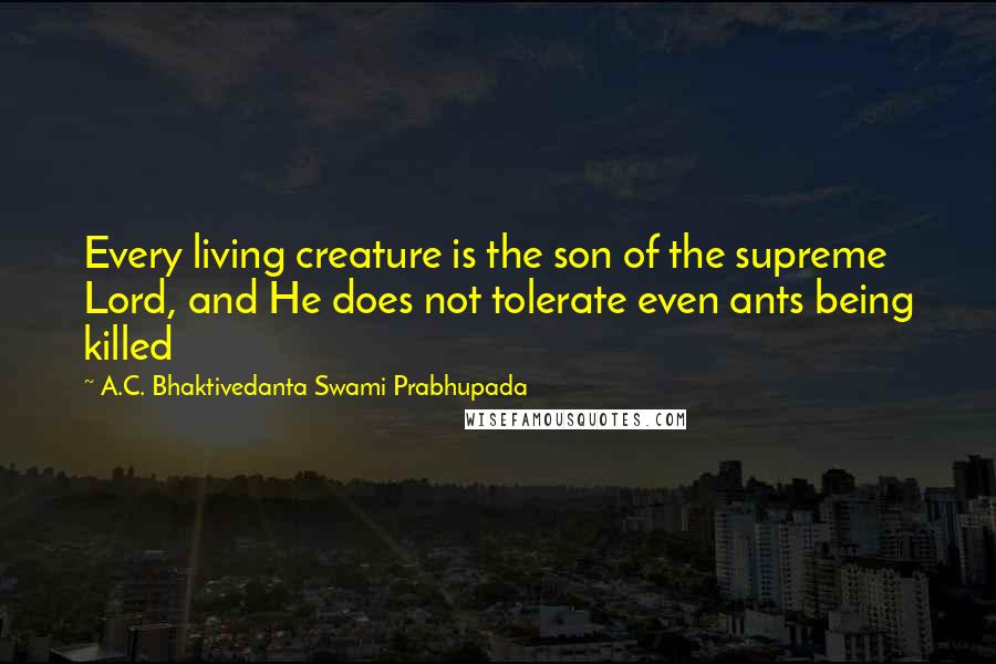A.C. Bhaktivedanta Swami Prabhupada Quotes: Every living creature is the son of the supreme Lord, and He does not tolerate even ants being killed