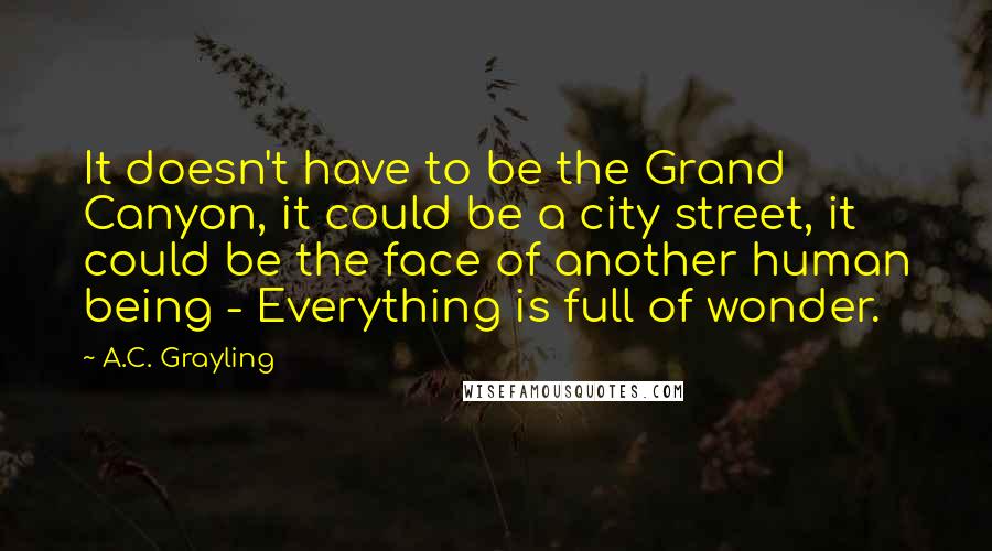 A.C. Grayling Quotes: It doesn't have to be the Grand Canyon, it could be a city street, it could be the face of another human being - Everything is full of wonder.