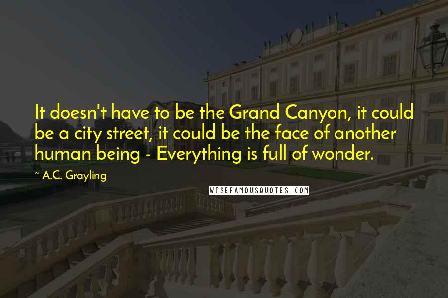 A.C. Grayling Quotes: It doesn't have to be the Grand Canyon, it could be a city street, it could be the face of another human being - Everything is full of wonder.