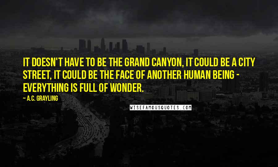 A.C. Grayling Quotes: It doesn't have to be the Grand Canyon, it could be a city street, it could be the face of another human being - Everything is full of wonder.