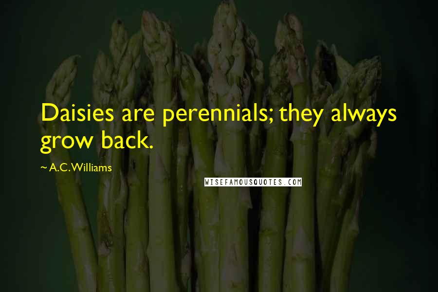 A.C. Williams Quotes: Daisies are perennials; they always grow back.