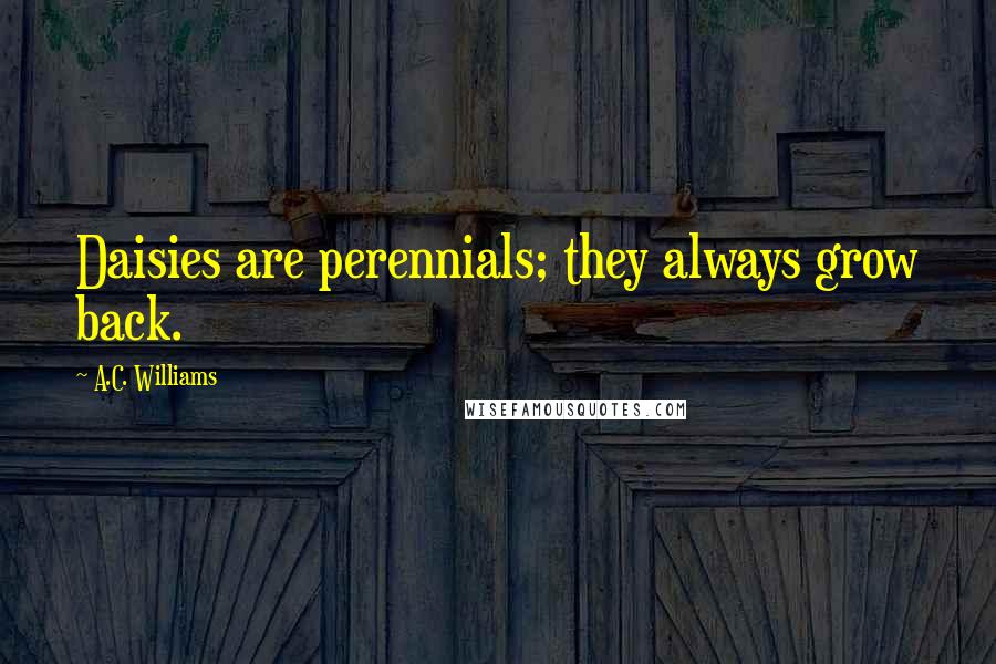 A.C. Williams Quotes: Daisies are perennials; they always grow back.