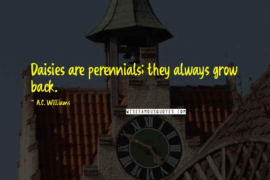 A.C. Williams Quotes: Daisies are perennials; they always grow back.