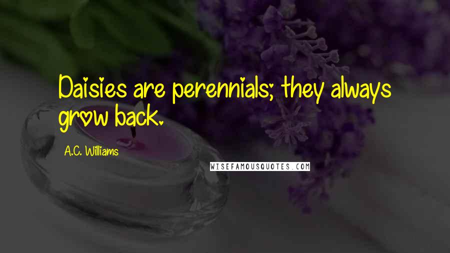 A.C. Williams Quotes: Daisies are perennials; they always grow back.