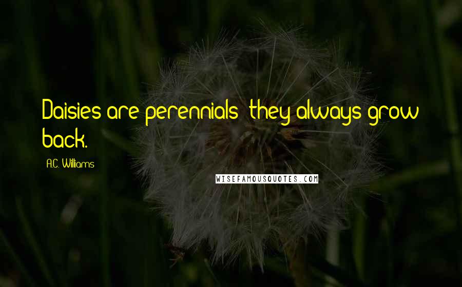 A.C. Williams Quotes: Daisies are perennials; they always grow back.