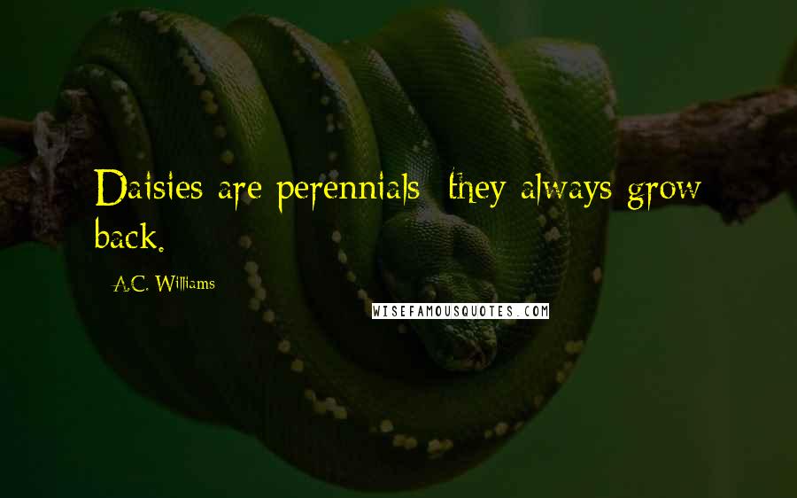 A.C. Williams Quotes: Daisies are perennials; they always grow back.