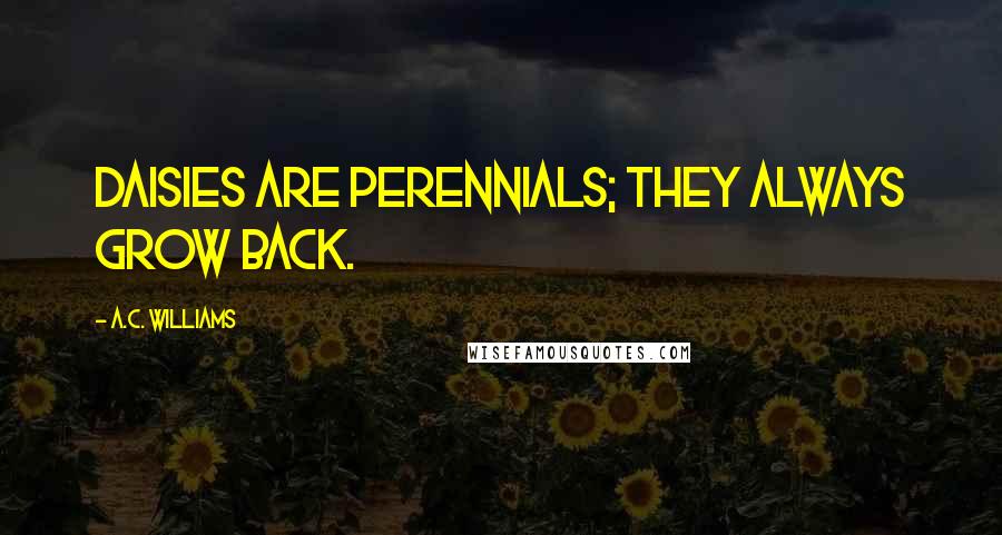 A.C. Williams Quotes: Daisies are perennials; they always grow back.