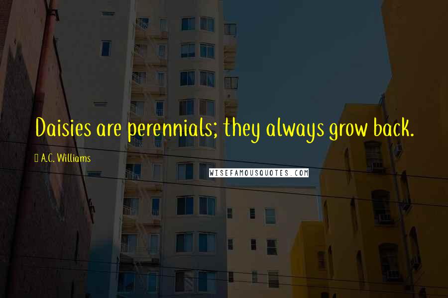 A.C. Williams Quotes: Daisies are perennials; they always grow back.